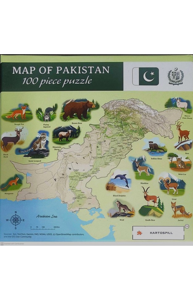Kartospill Map of pakistan 100 piece puzzle